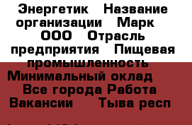 Энергетик › Название организации ­ Марк 4, ООО › Отрасль предприятия ­ Пищевая промышленность › Минимальный оклад ­ 1 - Все города Работа » Вакансии   . Тыва респ.